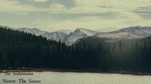 The Ambientalist - Never The Same