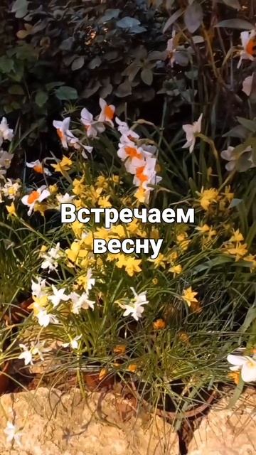 Встреча весны смотреть онлайн