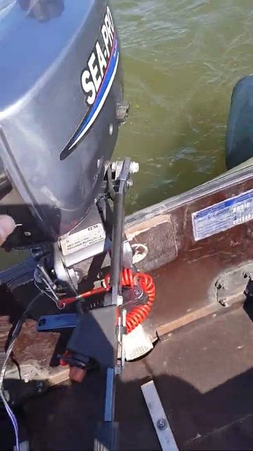 sea pro 2.5 смотреть онлайн