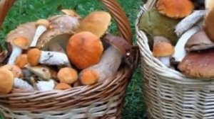 П И Чайковский Октябрь.mp4