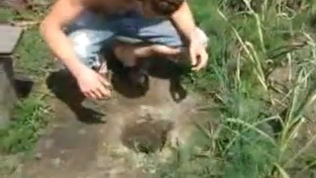 Как правильно садить часнок(Прикол).mp4 смотреть онлайн
