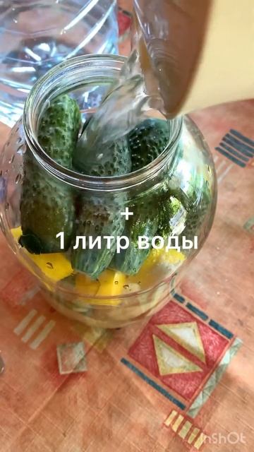 Ферментируем овощи быстро #готовимсами #путешествияпомиру #ферментация смотреть онлайн