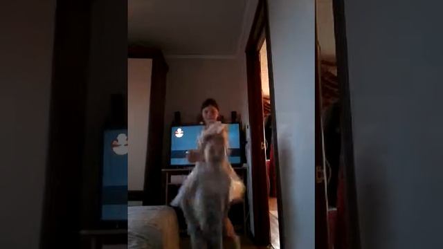 Золушка зацыпила смотреть онлайн