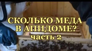 РЕЗУЛЬТАТ РАБОТЫ ПЧЕЛ КАРНИКА В АПИДОМЕ. Часть 2