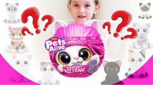 ZURU Pets Alive Smitten Kittens 2025 Сюрприз ЧТО ВНУТРИ? 🐈 🐱 #zuru #ZURUPets #cюрприз #новинка2025