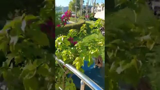 6 июля 2022 г. смотреть онлайн