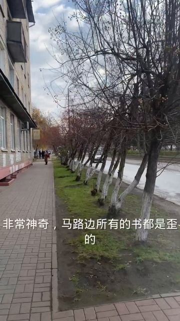 托木斯克的日常 #foreignstudents смотреть онлайн