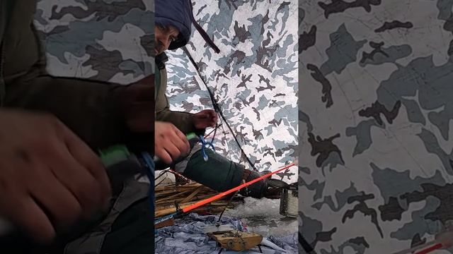 зимняя рыбалка светловодск отдых перед поездкой в европу