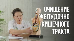 Очищение желудочно-кишечного тракта.