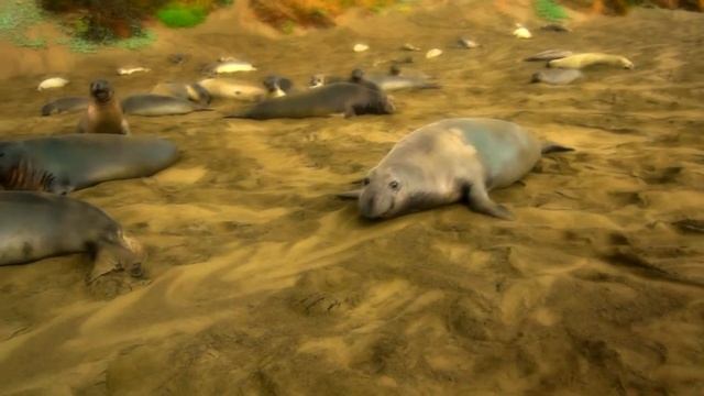 Red Giant Magic Bullet Looks Test смотреть онлайн