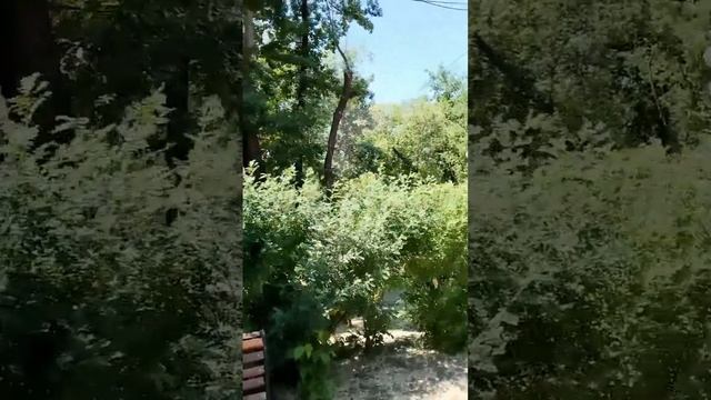 Детский парк имени В. Терешковой в Челябинске. смотреть онлайн
