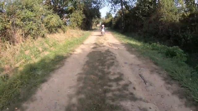 ✌️VIKING MOTOCROSS TEAM KTM SX50 MINI Jump Turns and Trails Part 2 Sloan Perpete смотреть онлайн