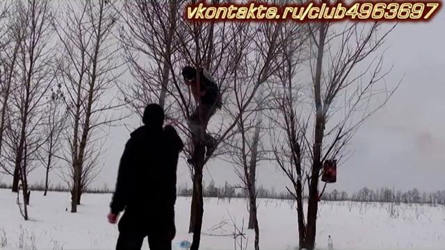 Мороженые фрики - хрен