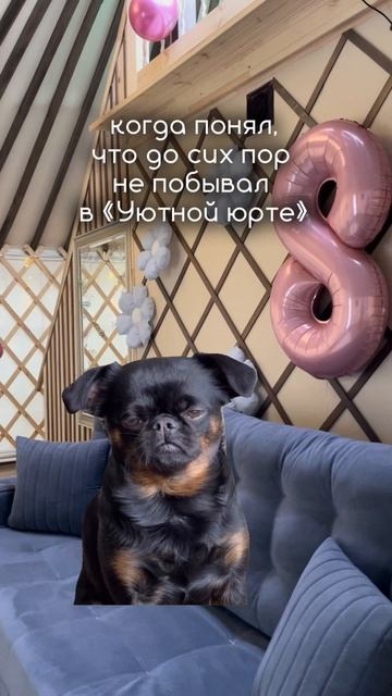 Для оформления бронирования обращайтесь в сообщения группы ВК «Уютная юрта»