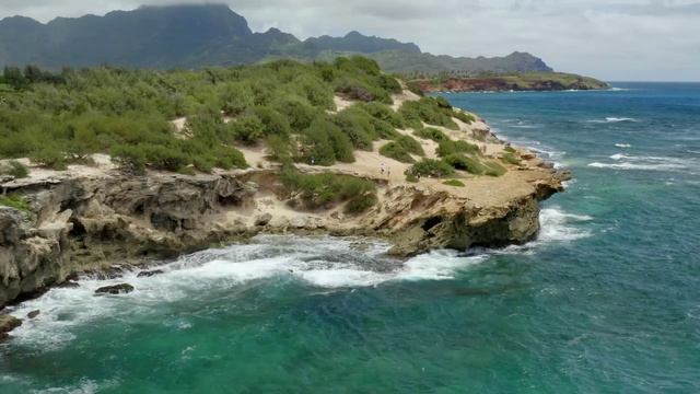 Музыка лечит сердце и сосуды🌿 Успокаивающая музыка восстанавливает нервную систему,расслабляющая #3 смотреть онлайн