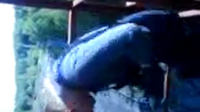 Пила- SAW- смотреть онлайн