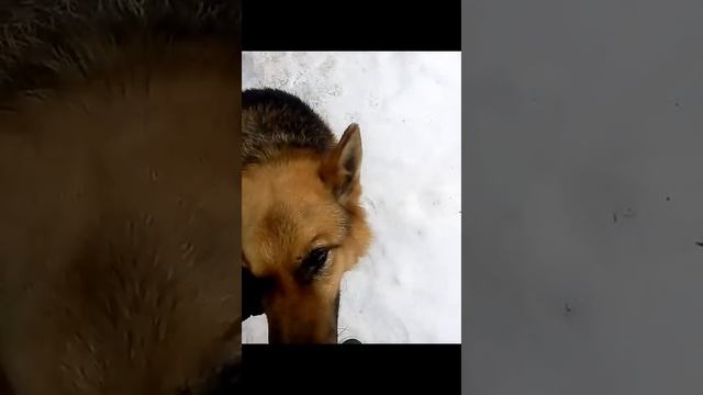 Каникулы у бабушки смотреть онлайн