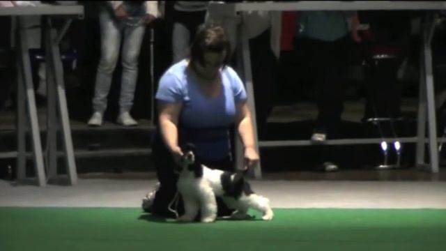 Киевские встречи_baby-best.m4v смотреть онлайн