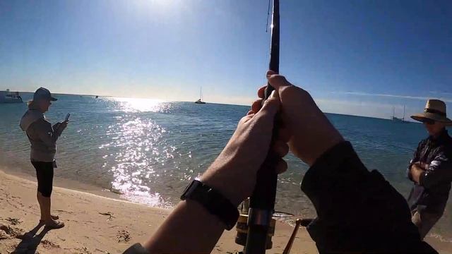 Beach Fishing Monkey Mia (Shovel Nose Sharks) смотреть онлайн