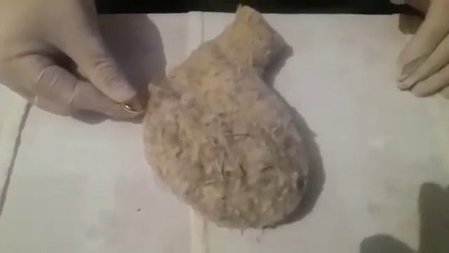 Шок! ЖАРГАНАТ УЯСЫ смотреть онлайн