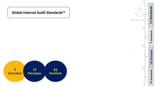 Global Internal Audit Standards - Introduction смотреть онлайн