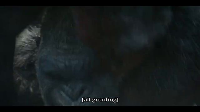 kong meets mini Kong (Godzilla vs kong the new Empire) смотреть онлайн
