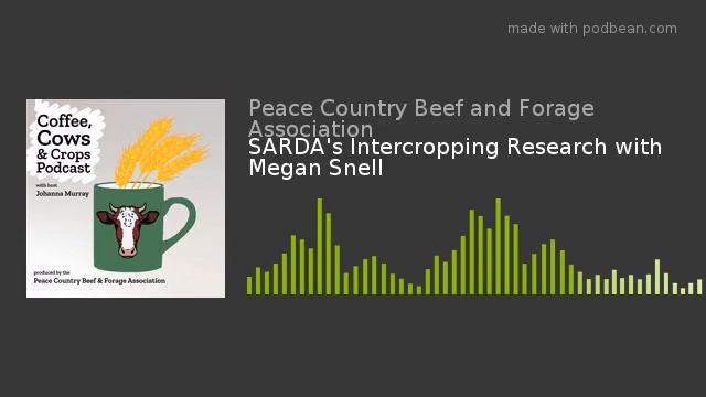 SARDA's Intercropping Research with Megan Snell смотреть онлайн