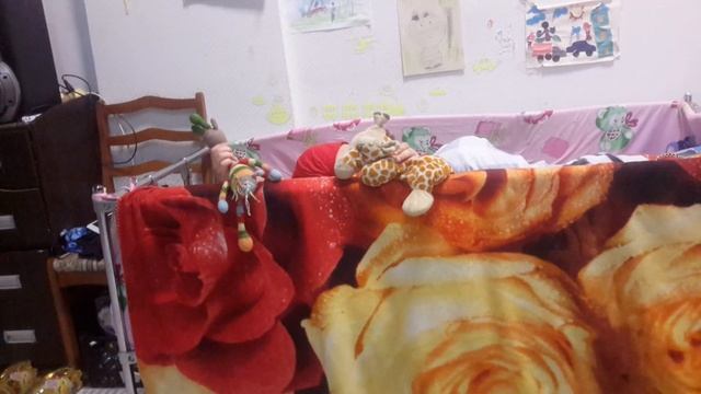 Професионалыны игрушки показывают спектакль для ребят смотреть онлайн