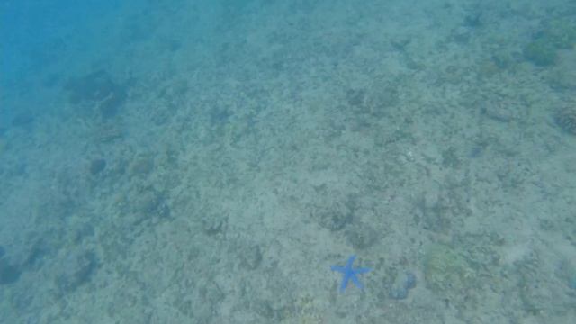 Wive's Beach Guam Snorkeling and Diving смотреть онлайн