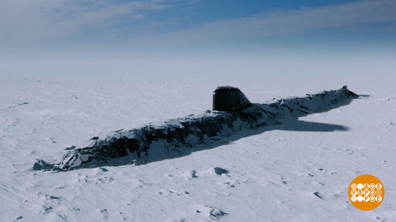 "Северный полюс": это надо видеть! Доброе утро. Фрагмент выпуска от 13.03.2025 смотреть онлайн