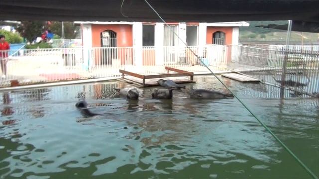 Парк развлечений в курортном Байдахэ | К девушке в Китай | Часть 11 смотреть онлайн