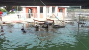 Парк развлечений в курортном Байдахэ | К девушке в Китай | Часть 11