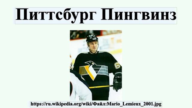 Питтсбург Пингвинз смотреть онлайн