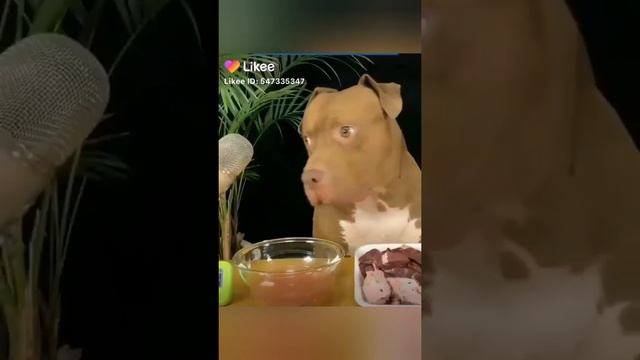 😆😂😂 САМЫЕ СМЕШНЫЕ РОЛИКИ РЖУ НЕ МОГУ смотреть онлайн