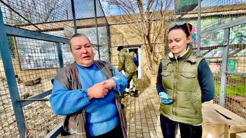 После долгих морозов мы снова ВЫПУСКАЕТ СПАСЕННЫХ ПТИЦ, важная информация о выпу смотреть онлайн