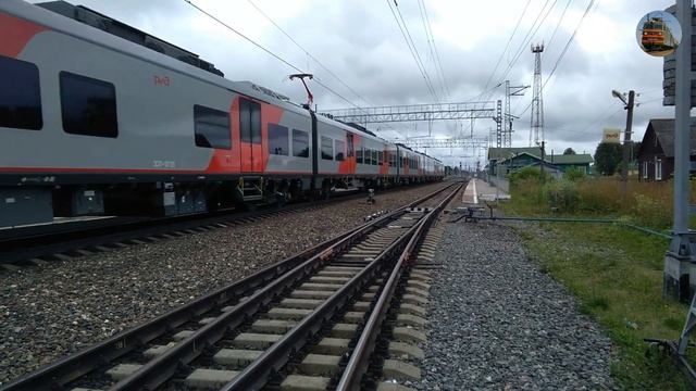 Скоростной поезд Ласточка ЭС1П-017 на станции Берендеево (СЖД) смотреть онлайн