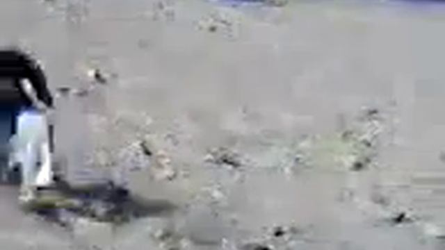 Пенёк главный смотреть онлайн