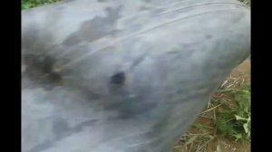 Обновка для трактора Т 28