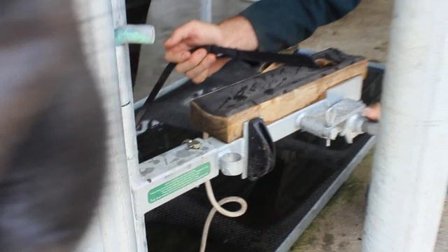 The Wrangler - NZ's Specialist Hoofcare Manufacturers смотреть онлайн