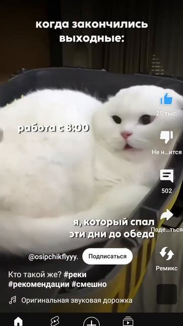 13 января 2024 г.