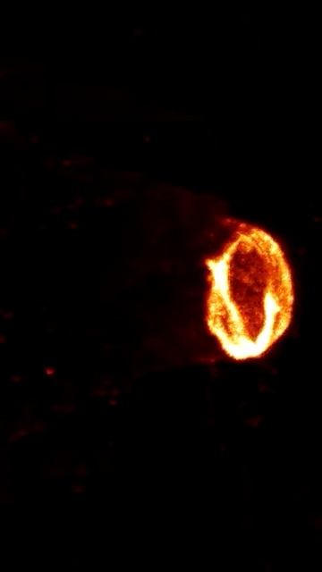 The distributional changes and role of microtubules in Nod factor-challenged Medicago sativa root h смотреть онлайн