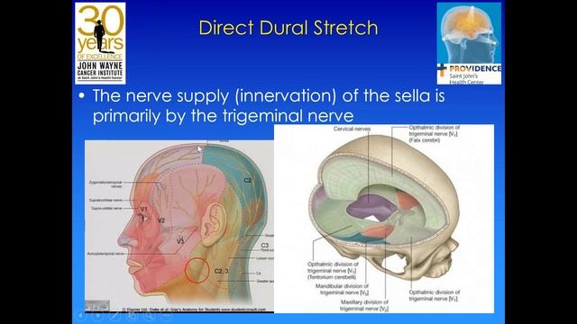 2015 08 26 13 36 Headaches and Pituitary Tumors смотреть онлайн