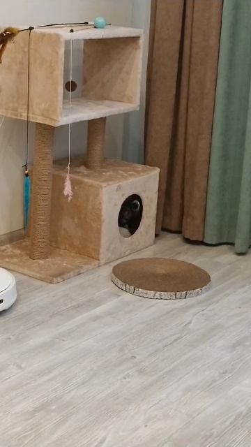 Зашла в домик