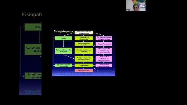 09.2021. Urgencias cardiorrespiratorias y ecografía multisistémica. Dr. Edgardo Banile (ARG) смотреть онлайн