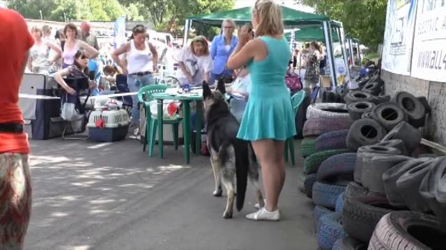 ВД Арс смотреть онлайн