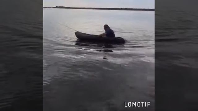 В Питере пить смотреть онлайн