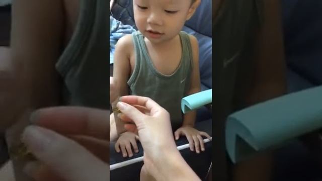 【金愛分享】魚油竟然比軟糖吸引你 смотреть онлайн