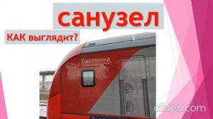 Скорый поезд «Ласточка» изнутри