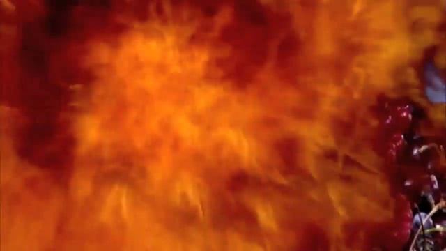 MasterChef Net 5, Te Gast Bij Dutch Hair, Www.dutchhair.nl