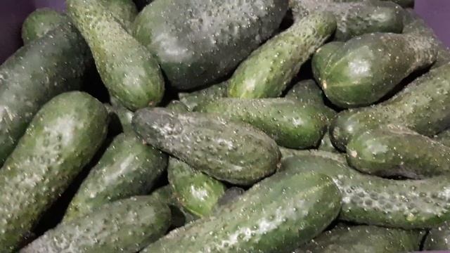 #витамины#огурцы#октябрь 🍁 Вкусные огурчики 🥒🥒🥒 в октябре 🌿🍁🌿 Вкусного просмотра друзья ❤ Мир всем🙏 смотреть онлайн